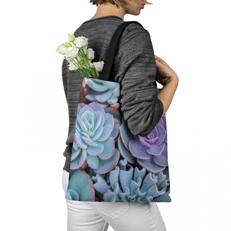 Saco Blue succulents - a floral composition with rich detailing 147628 additionalImage 3