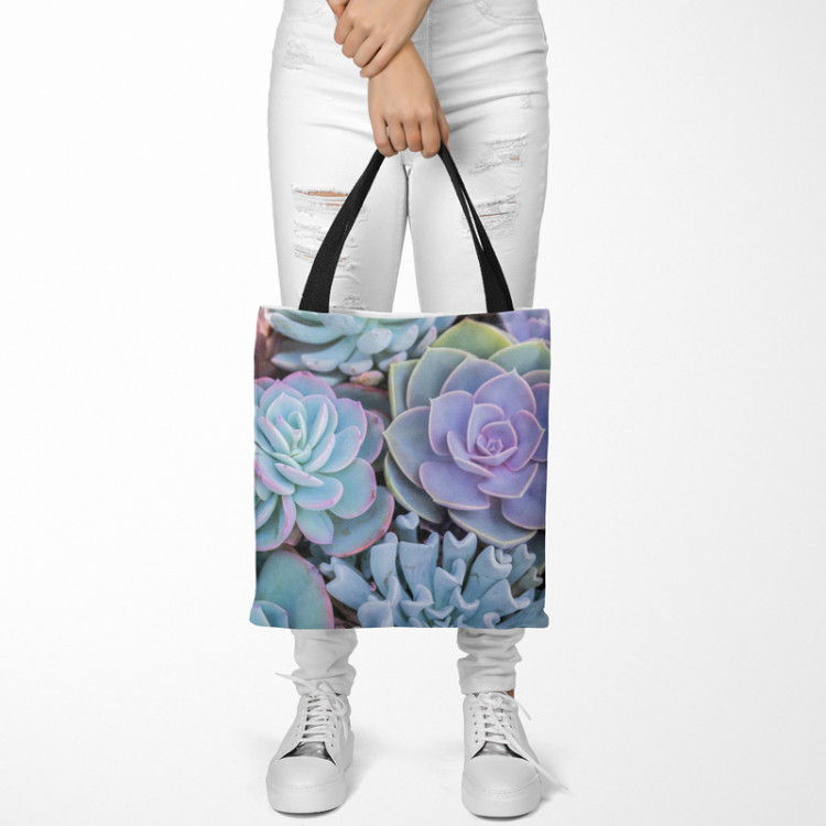 Saco Blue succulents - a floral composition with rich detailing 147628 additionalImage 2