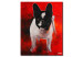 Quadro Bulldog escuro - retrato abstracto de um cão sobre um fundo vermelho 49498