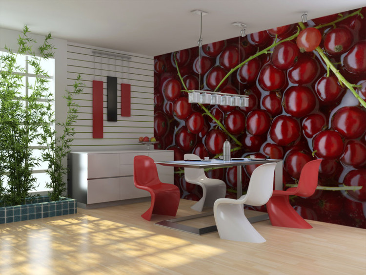 Mural de parede Sabores de frutas - groselhas vermelhas com galhos imersos na água 59809