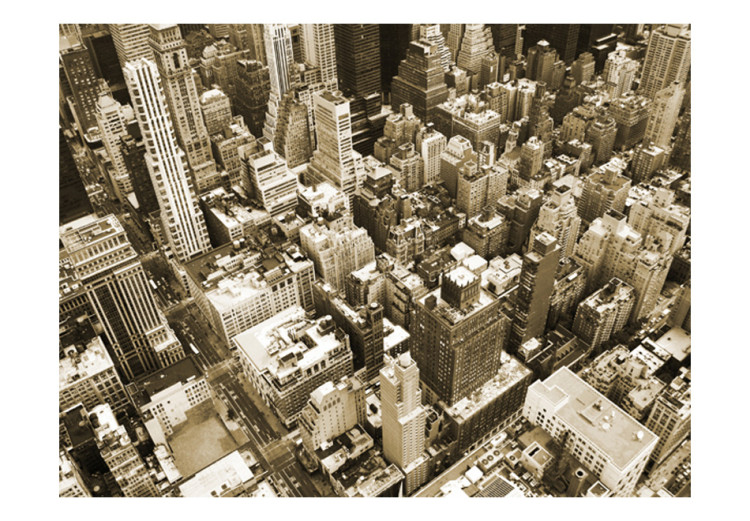 Mural de parede Vista Aérea de Manhattan - Arquitetura de Nova Iorque em Tons de Sépia 61509 additionalImage 1
