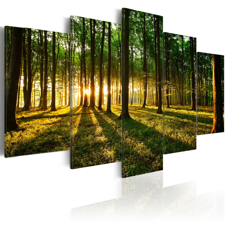 Quadro Adventure in the woods 50049 additionalImage 2