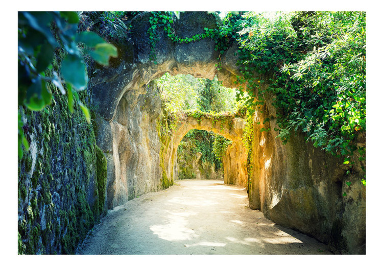 Mural Corredor entre a Natureza - paisagem de túnel de pedra cercado por folhas 64249 additionalImage 1