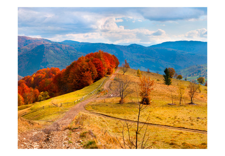 Mural Paisagem dos Cárpatos - paisagem montanhosa de outono com árvores e uma estrada 59969 additionalImage 1