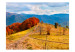 Mural Paisagem dos Cárpatos - paisagem montanhosa de outono com árvores e uma estrada 59969 additionalThumb 1