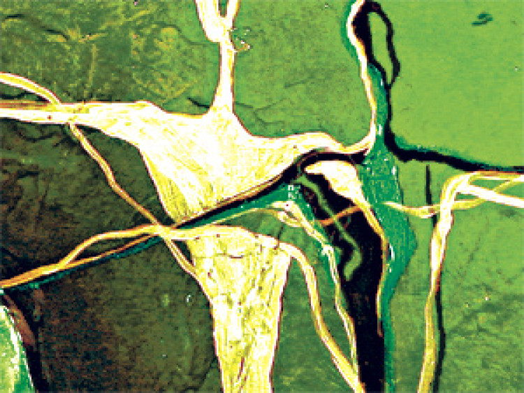 Quadro em tela Reis do Mundo (4 peças) - Abstração verde com casal de silhuetas 46979 additionalImage 3