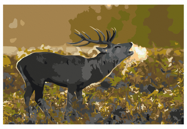 Desenho para pintar com números Deer on Rut 117189 additionalImage 7