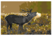 Desenho para pintar com números Deer on Rut 117189 additionalThumb 7